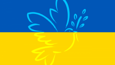 Grafika: Gołąb trzyma w dziobie gałązkę, w tle flaga Ukrainy