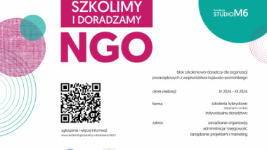 Szkolimy i doradzamy NGO - plakat