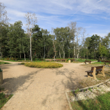 Na zdjęciu: miejsce wypoczynku w parku za pawilonem Maciej