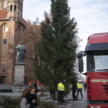 Na zdjęciu: choinka na Rynku Staromiejskim