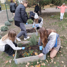 Akcja sadzenia tulipanów z Lejdy - Szkoła Podstawowa nr 11