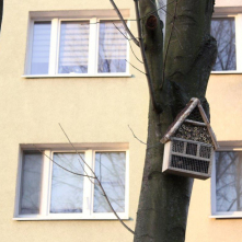 Budka dla owadów przytwierdzona do drzewa w tle blok