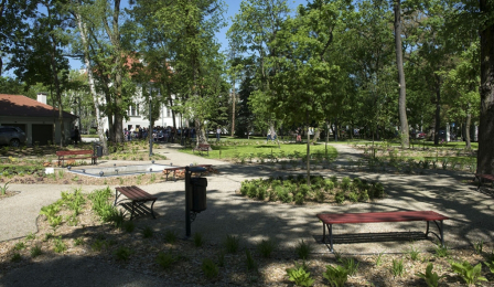 Park przy ul. Fredry w Toruniu