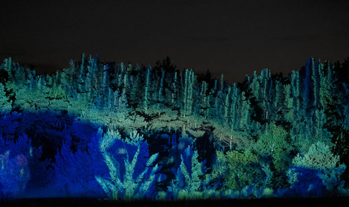 Na zdjęciu widać mapping wyświetlany na lesie